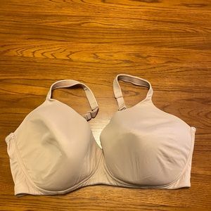 44DDD bra